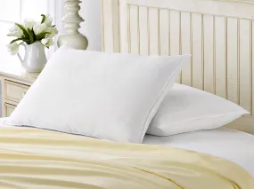 2 Pack French Country Down Surround Pillows / King Size