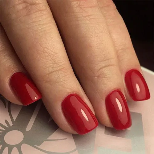 Classic Beauty * Jessica Geleration